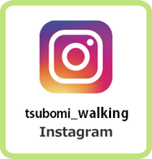 tsubomi_walking Instagram